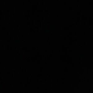 Meet your Posher, Shea